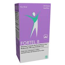 Fortel b